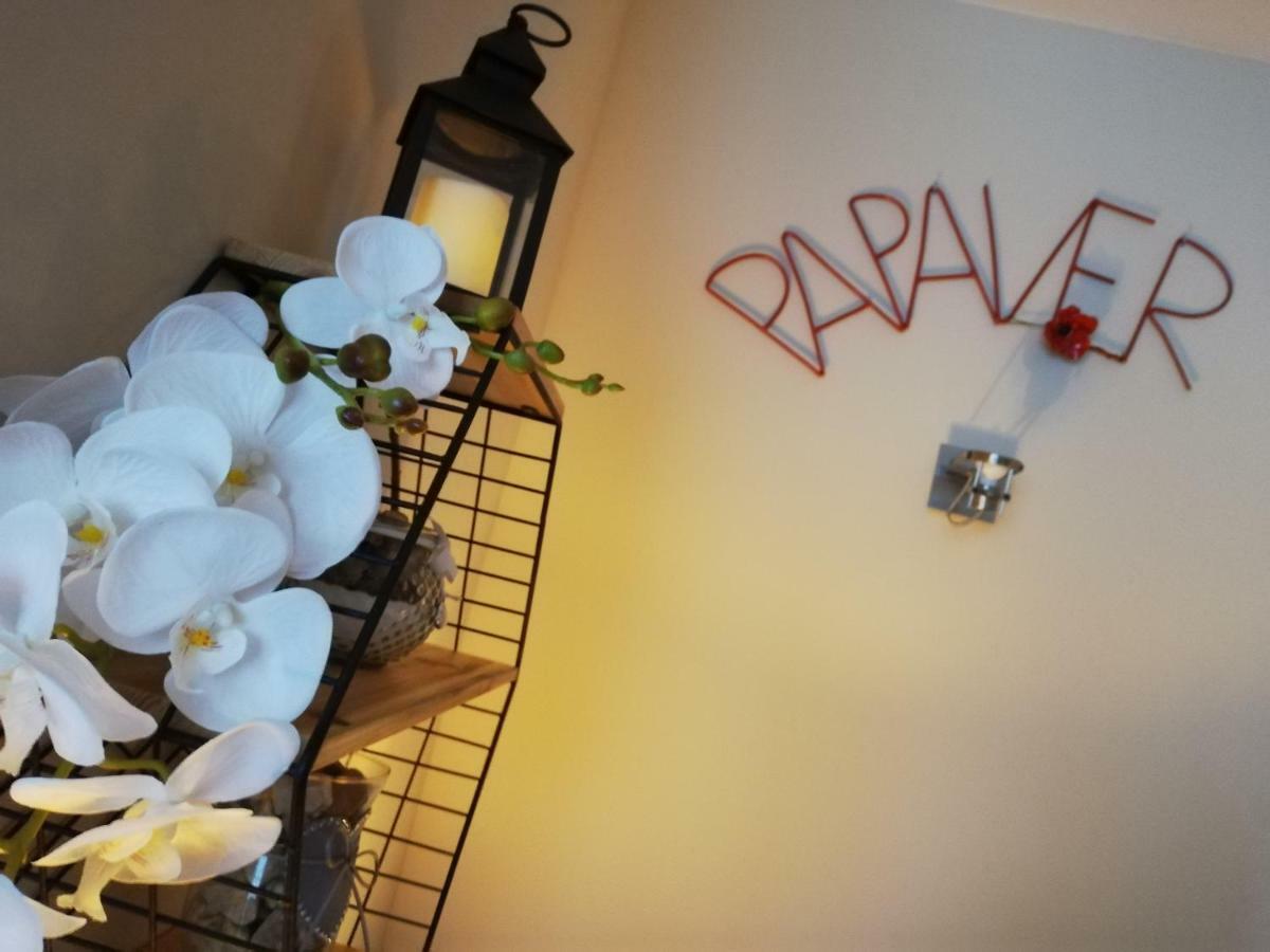 Papaver Apartament Zielona Góra Eksteriør billede