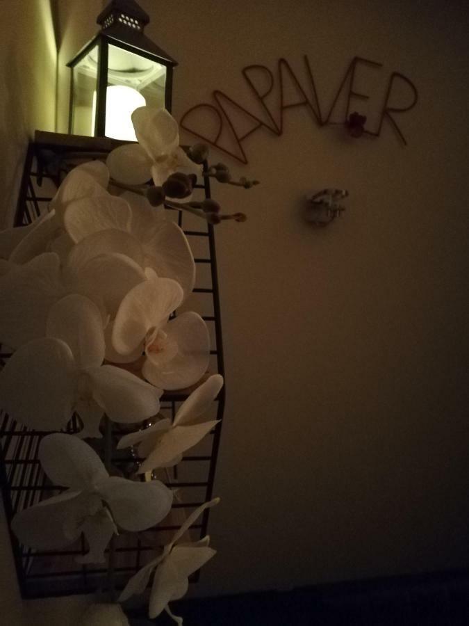 Papaver Apartament Zielona Góra Eksteriør billede