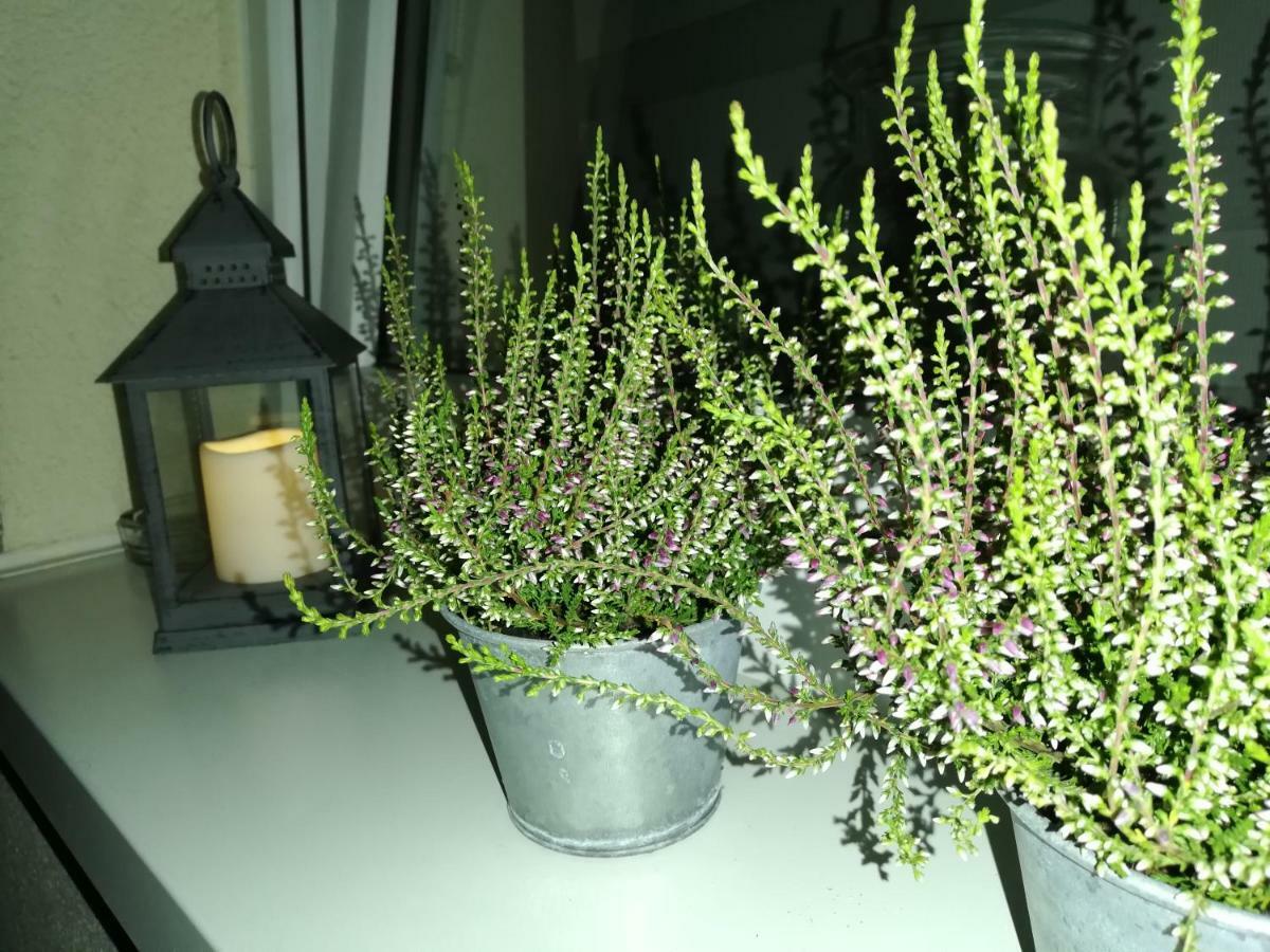 Papaver Apartament Zielona Góra Eksteriør billede